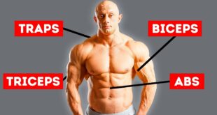 3 Exercises to Hit Every Single Muscle in Your Body