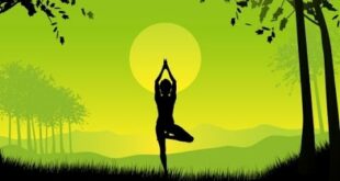 Meditation Music, Yoga Music, Zen, Yoga Workout, Sleep, Relaxing Music, Healing, Study, Yoga, ☯2176